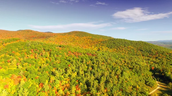 Panorama das árvores florestais de outono — Fotografia de Stock