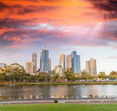 Skyline of Melbourne city clipart