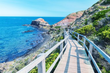 Cape Schanck kıyı şeridi Avustralya