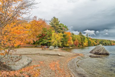 Sonbahar park ve göl manzara