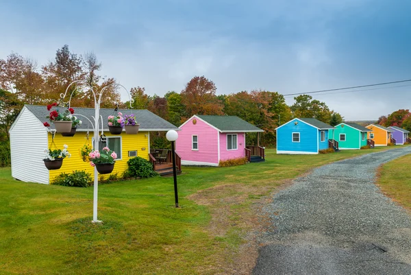 Colorful houses on meadow — Stock Photo, Image