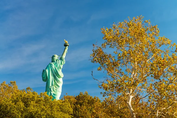 秋天的树木，纽约城被包围的自由女神像 — 图库照片