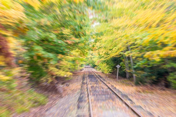 Paisagem outonal. Folhas e árvores fundo, folhagem vermelha — Fotografia de Stock