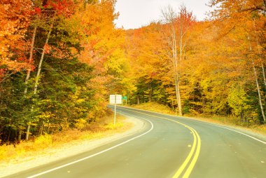 Yollu sonbahar manzarası