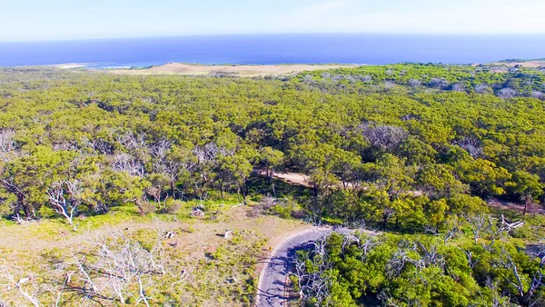 Cape Otway vydání National Park, Austrálie. — Stock fotografie