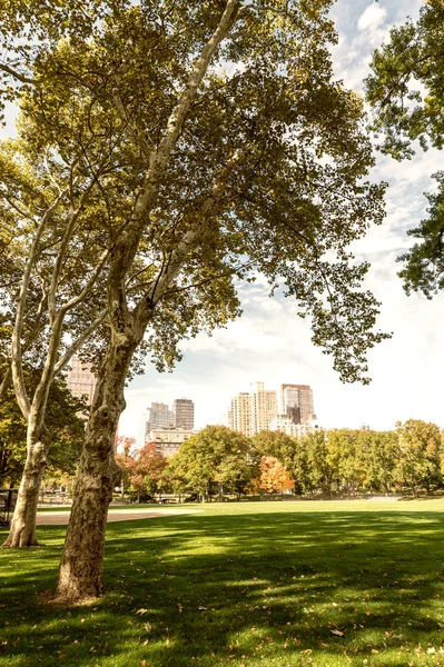 New York in Autumn season — Stock Photo, Image