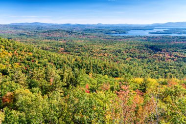 sonbahar manzara panorama