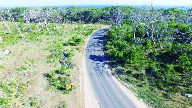 Cape Otway Nationa Park, Avustralya.