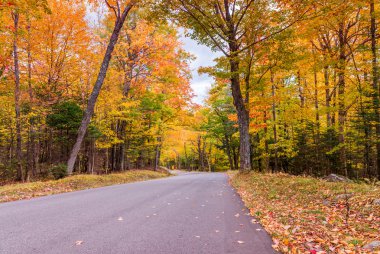 Yollu sonbahar manzarası