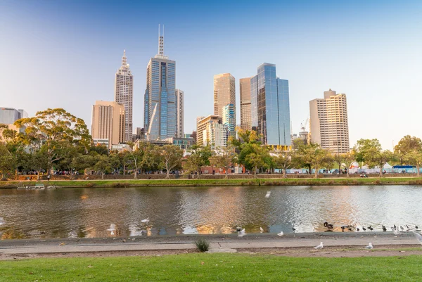 Skyline von Melbourne City — Stockfoto