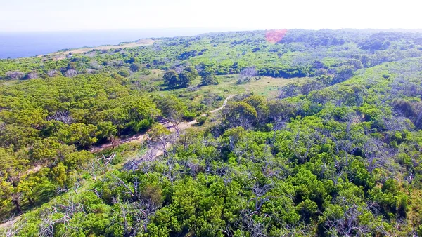 Cape otway nationa park, australien. — Stockfoto