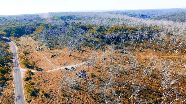 Cape Otway vydání National Park, Austrálie. — Stock fotografie