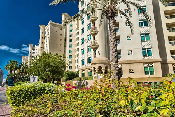 Vegetação e edifícios em Dubai, Emirados Árabes Unidos — Fotografia de Stock