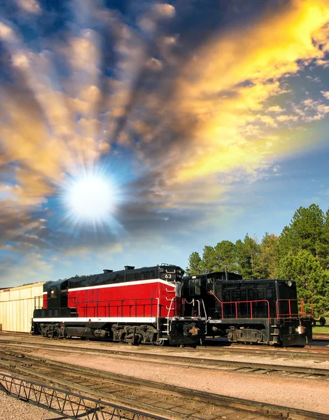 Tren americano en el campo — Foto de Stock