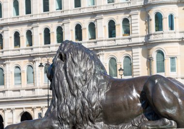 Aslan heykeli, Trafalgar Square, Londra