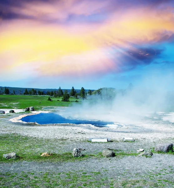Geiser in het Yellowstone National Park — Stockfoto