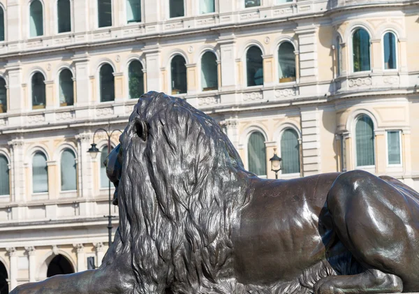 Löwenstatue von Trafalgar Square, London — Stockfoto