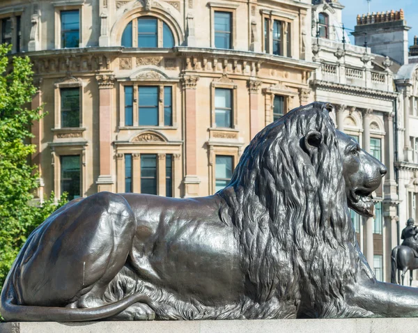 Lejonet statyn av Trafalgar Square, London — Stockfoto