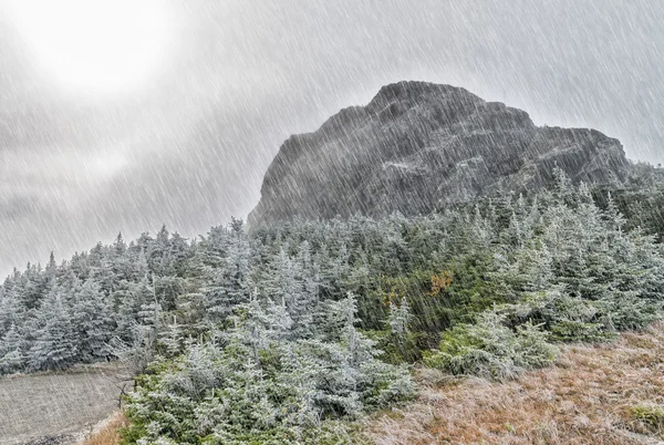 Hujan lebat pada skenario dedaunan New England — Stok Foto