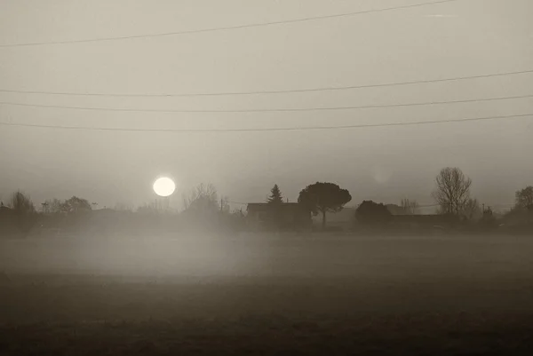 Nascer do sol sobre prados com neblina no inverno — Fotografia de Stock