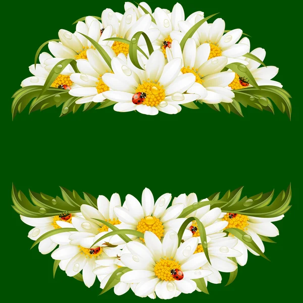 Marco vectorial con margaritas en forma de cara de bestia floral — Vector de stock