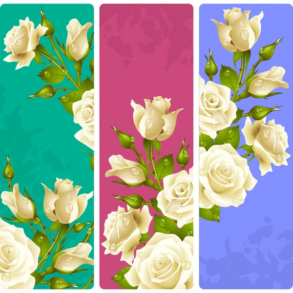 Marcos de Rosa Blanca. Conjunto vectorial de banderas verticales florales — Archivo Imágenes Vectoriales