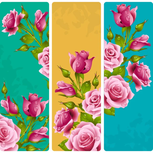 Ροζ τριαντάφυλλο καρέ. Διάνυσμα σύνολο floral κατακόρυφα πανό. — Διανυσματικό Αρχείο