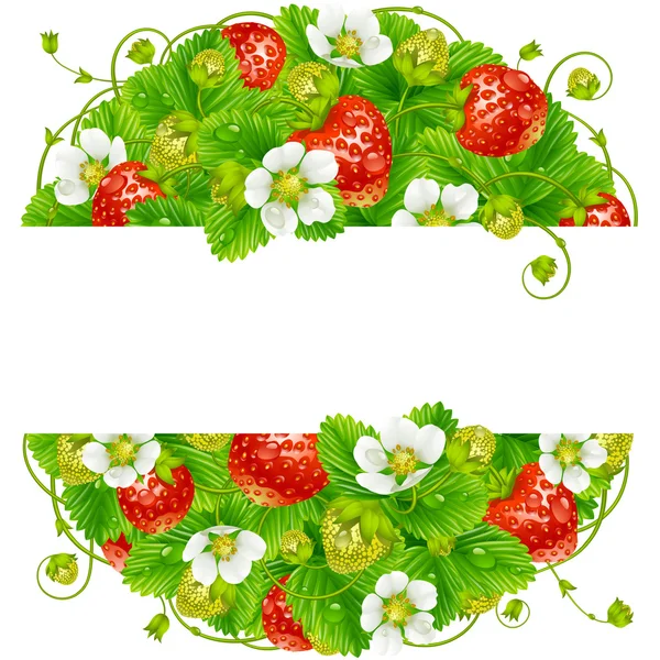 Cadre rond vecteur fraise — Image vectorielle