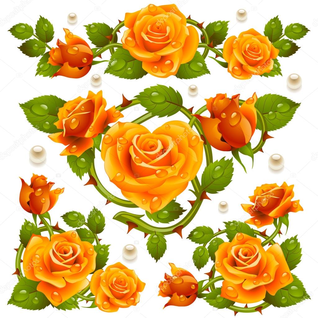 Vector yellow Rose design elements Stock Vector by ©d-e-n-i-s 119597112