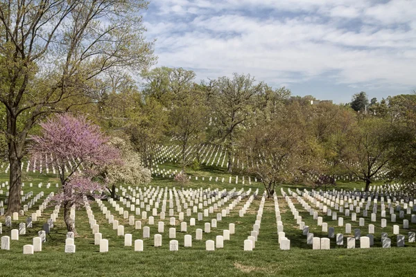 Nationalfriedhof von Arlington lizenzfreie Stockfotos