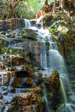 Güney Brezilya 'daki tropikal ormanlarda kayaların üzerinden yosun akan küçük şelalenin detayları.