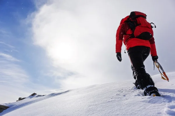 Bergsteiger besteigt im Winter einen schneebedeckten Gipfel. — Stockfoto