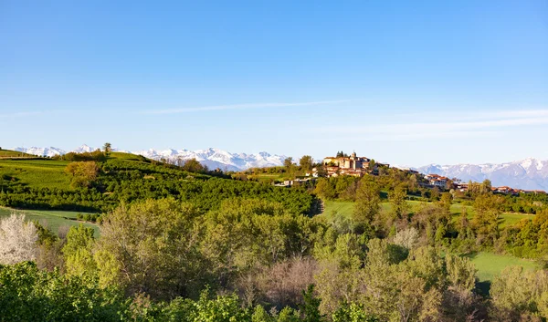 Italienische Landschaft: der hügel um das dorf belvedere langhe, in der nähe von alba, piemont, norditalien. Langhe ist ein Touristengebiet, das für seine hervorragenden Weine und seine unverfälschte Küche bekannt ist. Frühlingszeit. — Stockfoto