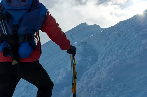 日出时登山者爬上雪脊 瑞士阿尔卑斯山 — 图库照片