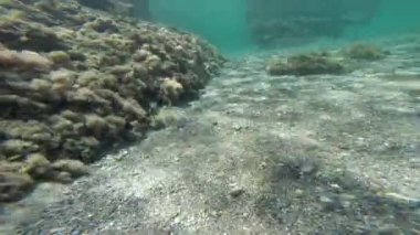 düşük su sualtı dalış.