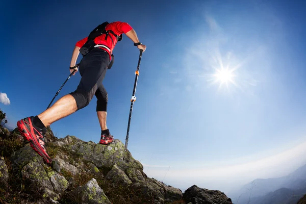 登山道を歩いている若い男性ランナーの背面図 — ストック写真