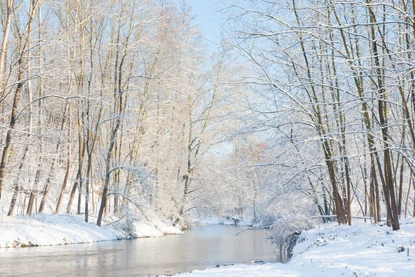 冬季景观: 一个雪在树林里的小河. — 图库照片