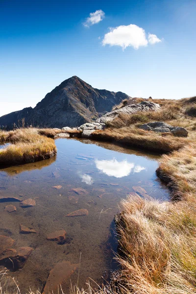 Mont Mucrone ve bir küçük dağ su birikintisi — Stok fotoğraf