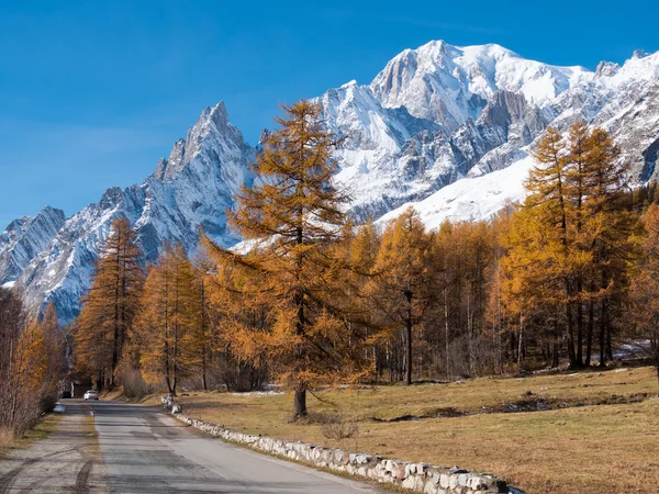 Camino de montaña en otoño. En el fondo el bosque y la nieve pe —  Fotos de Stock