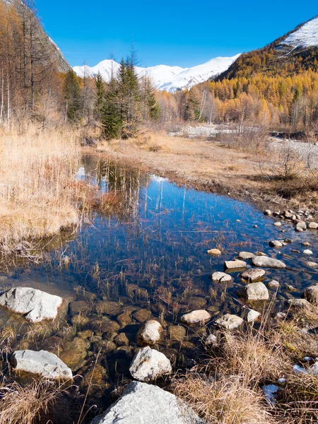 Маленький горный пруд осенью - Валь-Ферре, Курмайер — стоковое фото