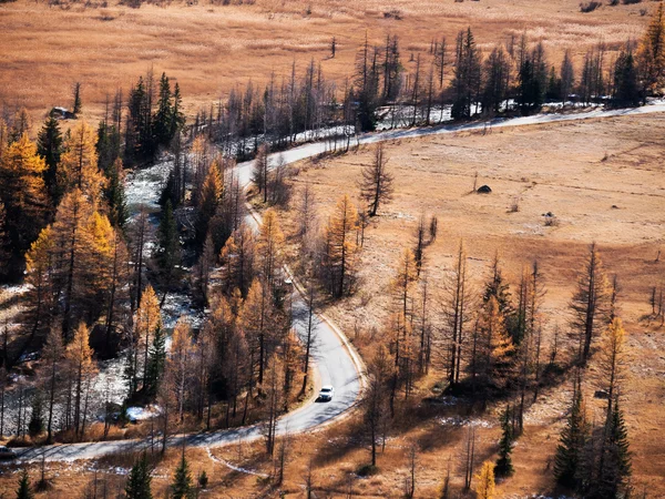 Estrada da montanha ao lado de uma torrente alpina no outono . — Fotografia de Stock