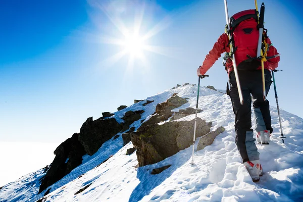 Climberr gick upp längs en brant snöig bergskam med skidor i t Royaltyfria Stockbilder