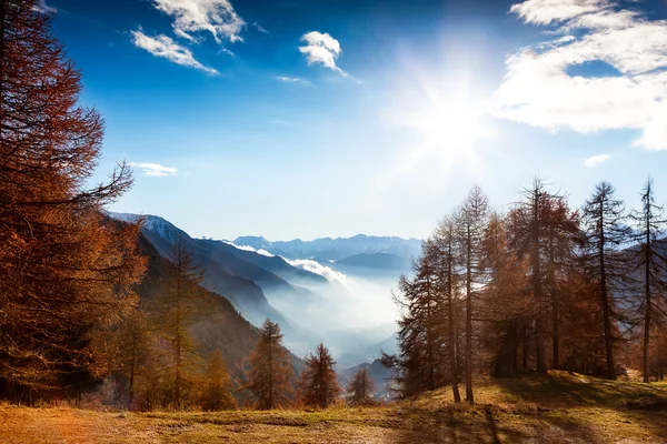 Paysage montagnard en automne : mélèzes, soleil brillant, brouillard va — Photo