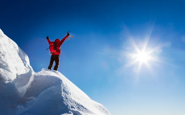 Un alpiniste célèbre la conquête du sommet . — Photo