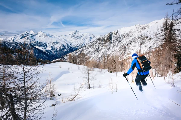 Esporte de inverno: homem esquiando na neve em pó . — Fotografia de Stock