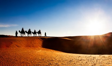 Çölde kum tepeleri üzerinde deve karavan