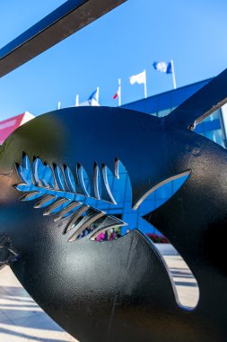Cannes Film Festiva