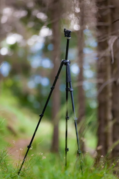 An open tripod, without mounted camera, in a summer mountain for — Stock Photo, Image