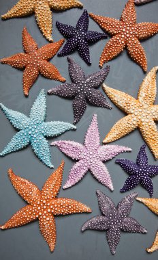 renkli starfishes kümesi