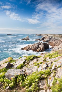 Kayalık sahil şeridi görünümü